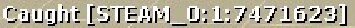Caught.jpg